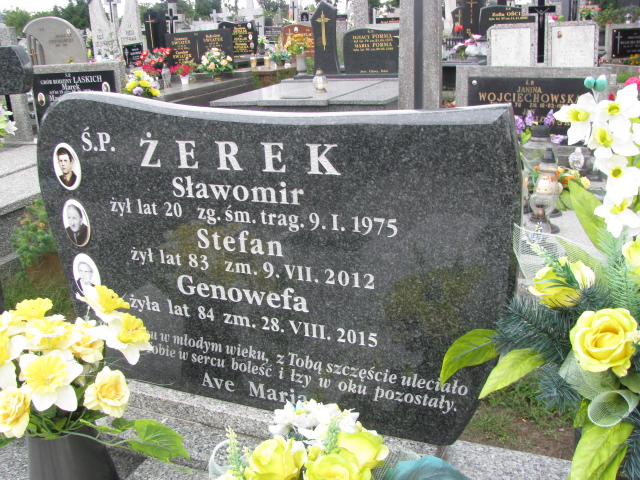 Sławomir Żerek Wolbórz - Grobonet - Wyszukiwarka osób pochowanych