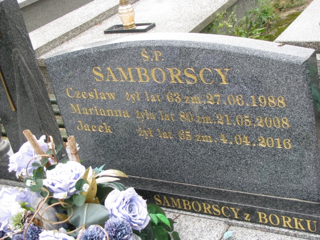 Jacek Samborski 1951 Wolbórz - Grobonet - Wyszukiwarka osób pochowanych