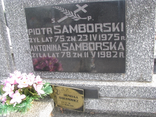 Antonina Samborska 1904 Wolbórz - Grobonet - Wyszukiwarka osób pochowanych