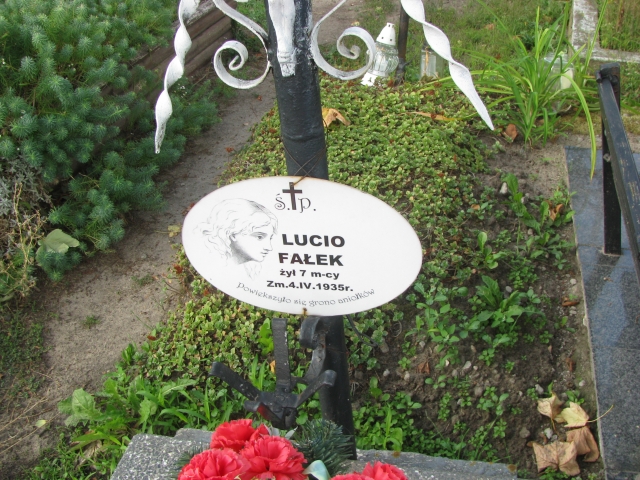  Fałek Wolbórz - Grobonet - Wyszukiwarka osób pochowanych