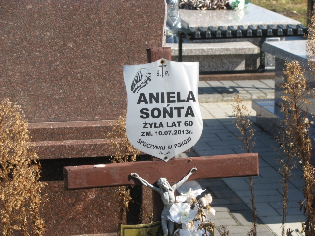 Jan Sońta 1947 Wolbórz - Grobonet - Wyszukiwarka osób pochowanych