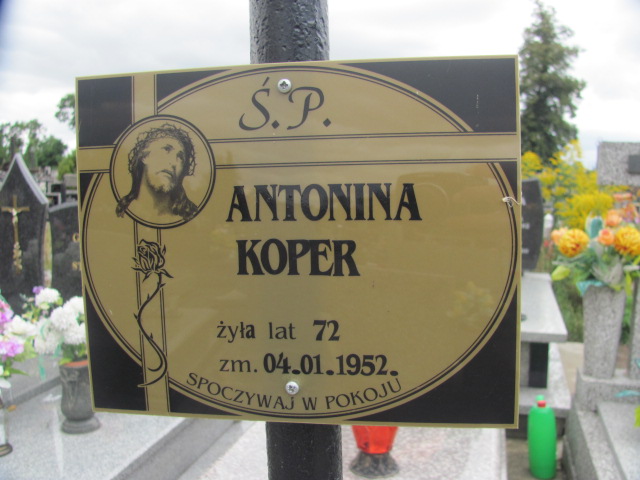 Antonina Koper  Wolbórz - Grobonet - Wyszukiwarka osób pochowanych