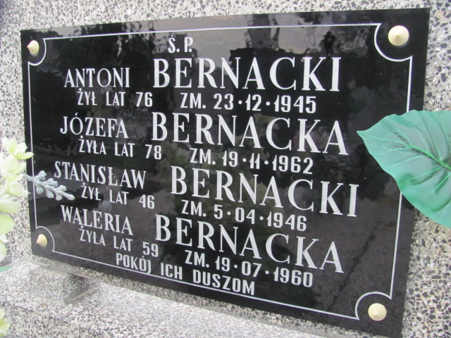 Stanisław Bernacki Wolbórz - Grobonet - Wyszukiwarka osób pochowanych