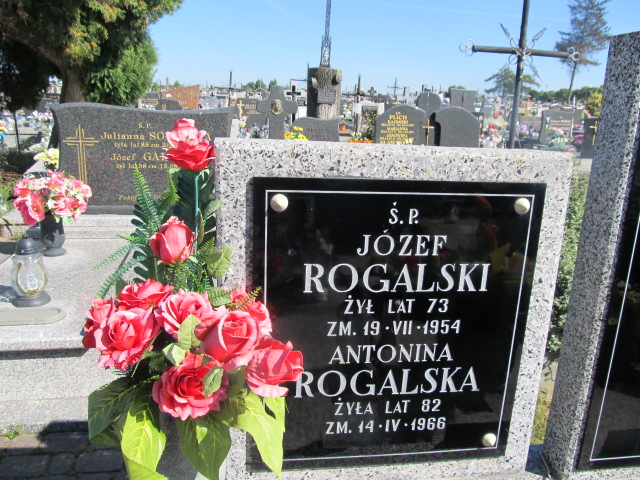 Henryk Rogalski 1953 Wolbórz - Grobonet - Wyszukiwarka osób pochowanych