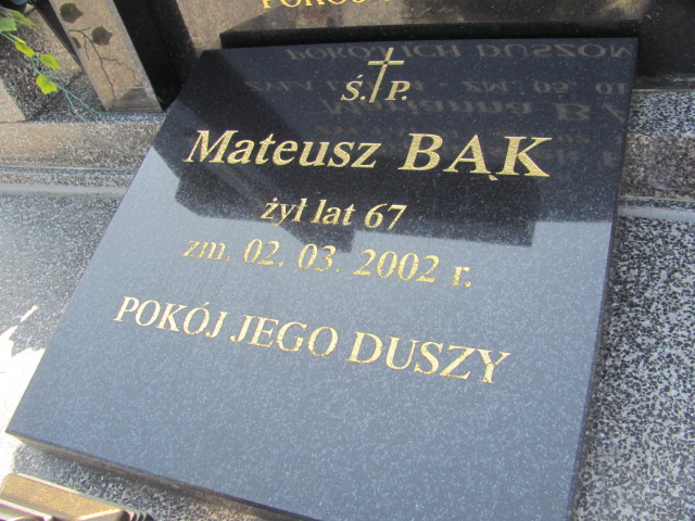 Marianna Bąk 1901 Wolbórz - Grobonet - Wyszukiwarka osób pochowanych