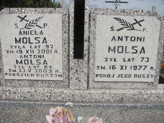 Aniela Molsa 1909 Wolbórz - Grobonet - Wyszukiwarka osób pochowanych