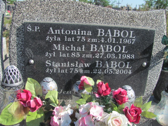 Antonina Bąbol Wolbórz - Grobonet - Wyszukiwarka osób pochowanych